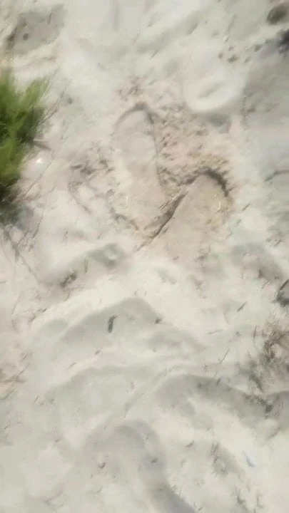 Valencia nude beach