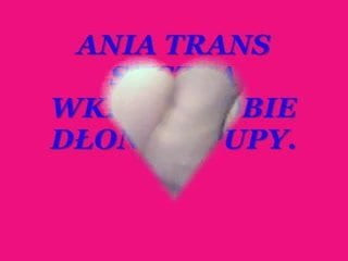 Ania trans suczka 나는 피스팅