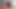 Gadis amatir super sange lagi asik nyepong kontol