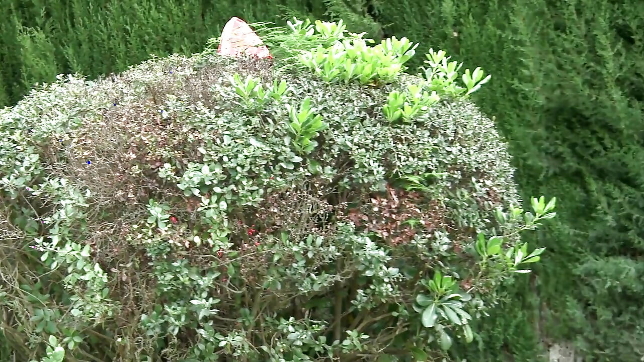 Juego de roles - Red Cap seducida por cachonda