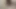 Shantalknowless 21.01.19