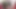 オランダJOI レッドライト グリーンライト