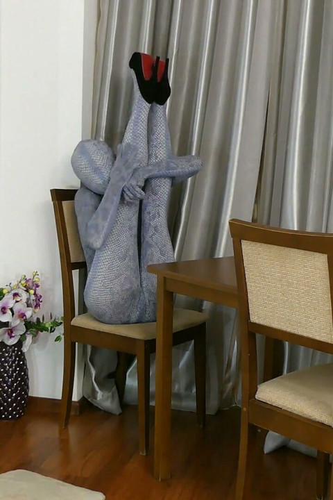 Wrapping in the hotel