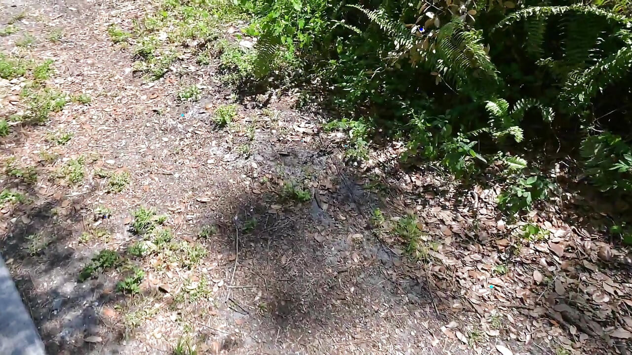 Bts Nature Walk and Masturbation on Trail