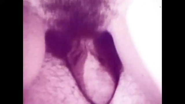 The History of American Porn - (The Original in Full HD) -