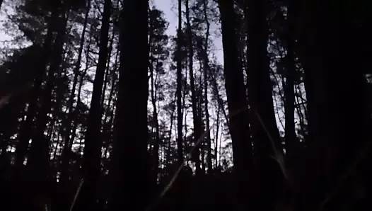 In the dark forest I fuck and cum in my girlfriend's mouth - Lesbian-illusion