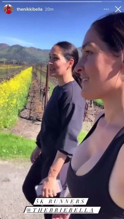 Nikki Bella with bouncy cleavage jogging with Brie Bella