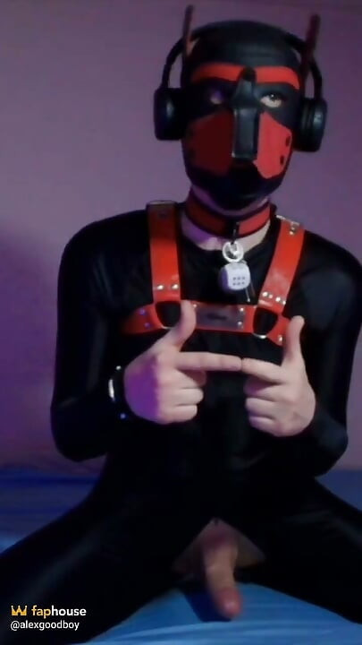 Remote Controlled Puppy Whimpers While Jerking off