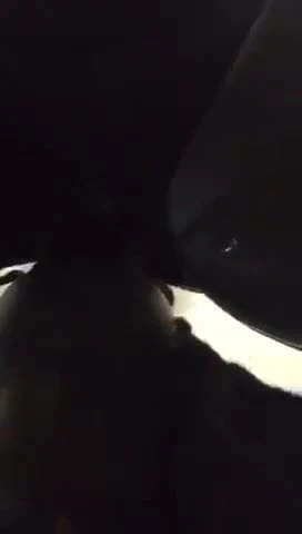 Eat me from the back till I squirt