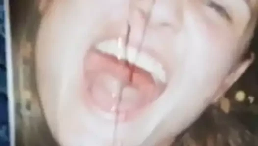 Brunabrazil için haraç