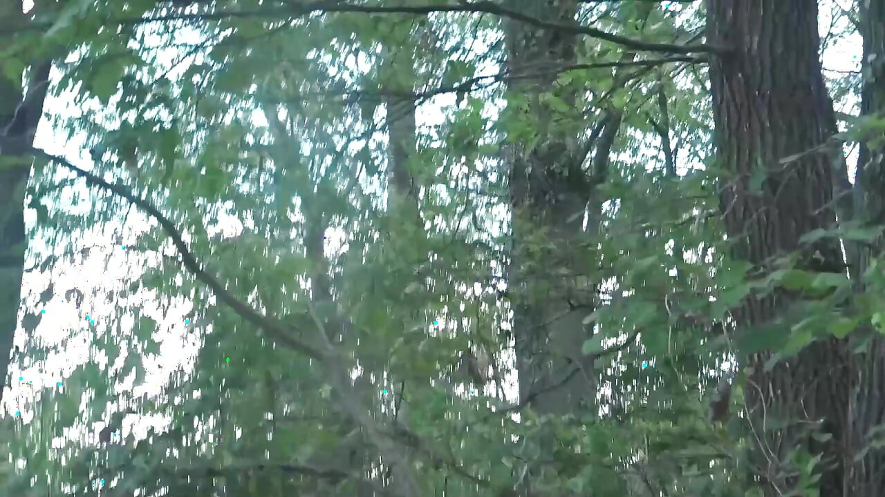 这位金发熟女的双重插入和肛交