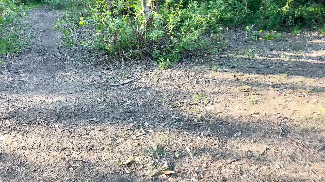 Solo jungle masturbation