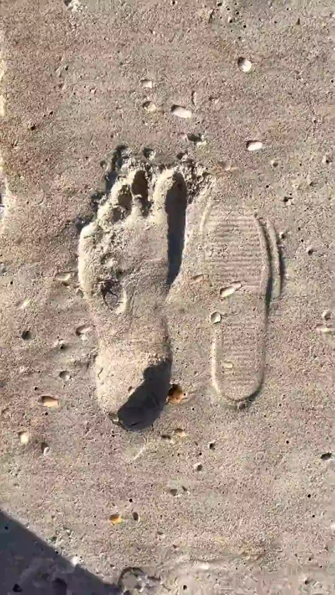 16 feet boyutunu plajda kum baskılarıyla karşılaştırıyor