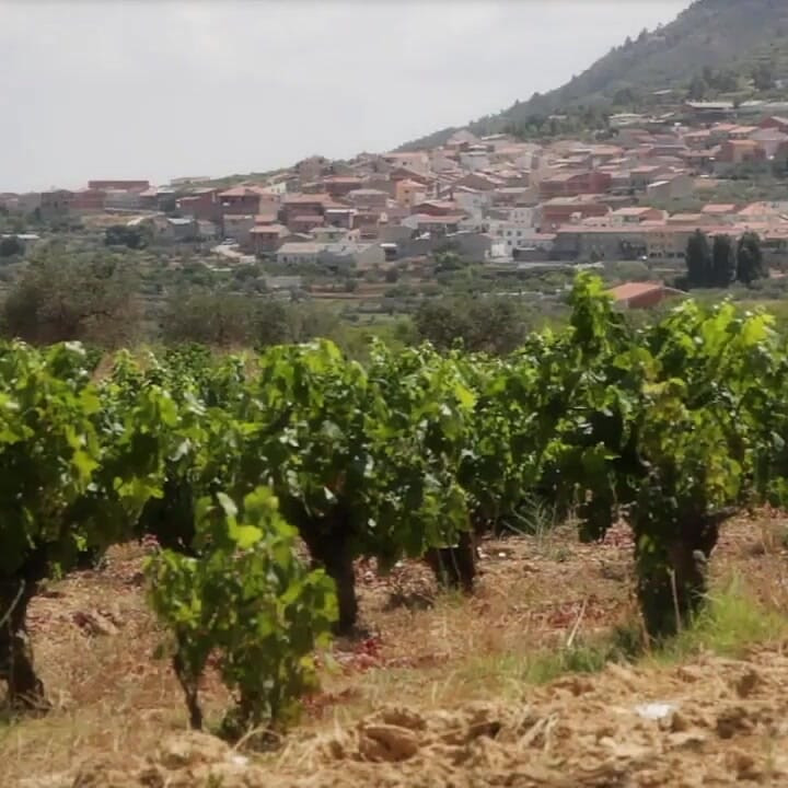 Break My Ass with Your Big Hard Cock