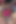 彼女の思いやりのある夫がバラを贈ってくれましたが、実はそれはセックスおもちゃで、夫は知らなかった