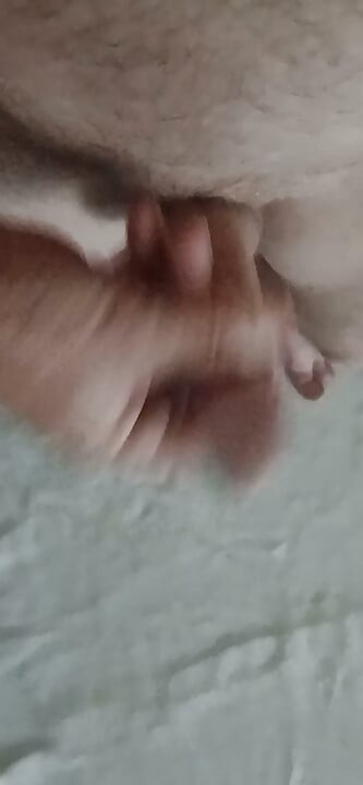 The Timid