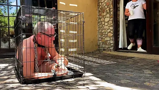 Caged - The chronicles of a life at her feet