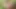 INDIAN TEEN BOY ASS FUCKING WITH BIG CUCUMBER HARDCORE MASTURBATION AT FOREST