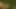 Cowboy fickt die junge Stute in der Wildnis