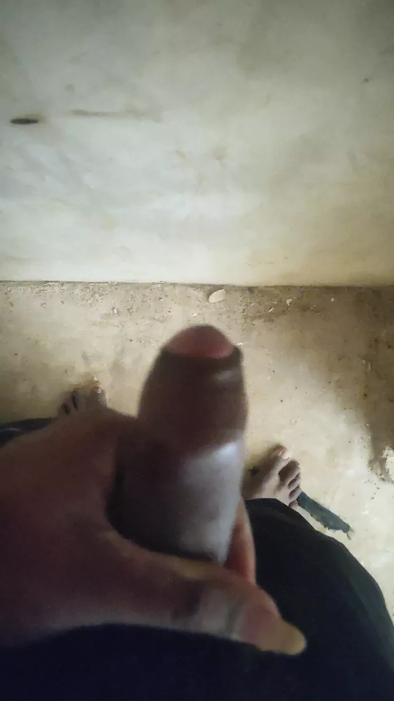 Chico tamil Sunny Lalipa