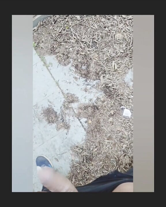 Fodendo minha enteada em casa abandonado
