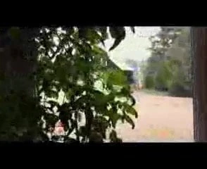 植物の大人のおもちゃ