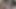 Big black dick BBC for white girl BBC indian big dick here