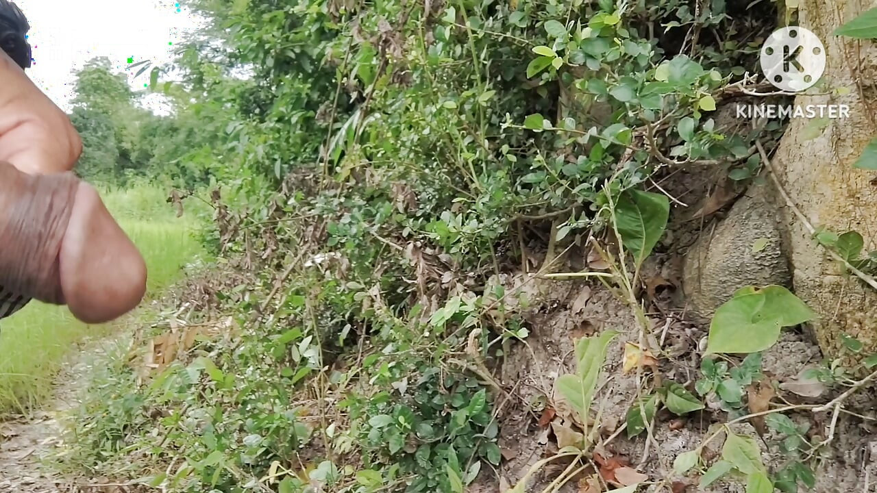 Jungle ghumne ke liye ga hai