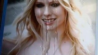 Трибьют спермы для Avril Lavigne 2