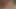 アナルプラグでミルフのアナルとチンポが膣で突かれる