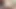 big naturals indica flower sudsy seductress whore pornstar