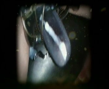 Bondage cock masturbating
