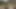 Vixenplus nihai orta yaşlı seksi kadın phoenix gizli büyük zenci yarağıyla sikişiyor