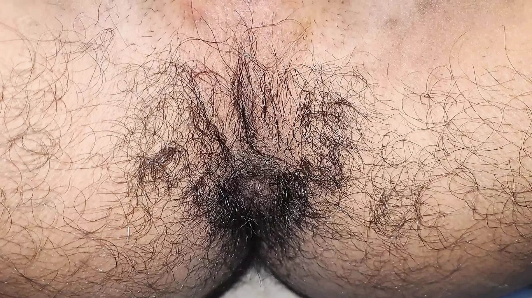 Yuva seksi larka poori tarah se nagn hokar apni sakht gand dikha raha hai.