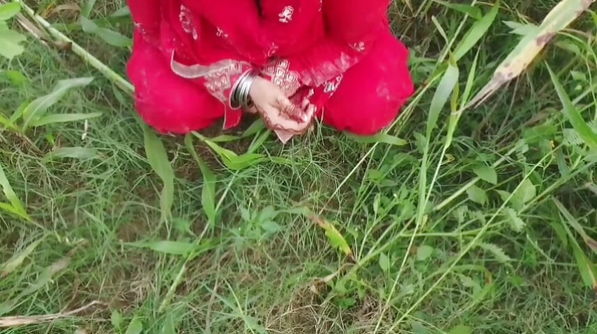 Jungle Me - história de sexo