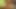 Natural Matures Movie Collection 5