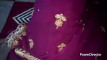 Pratinjau video