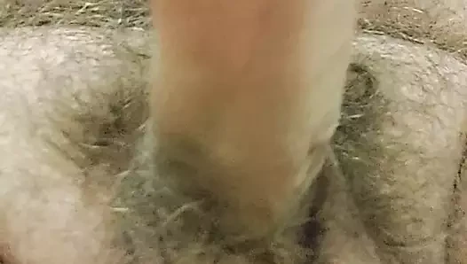 Austrian porn video – Mastrubation