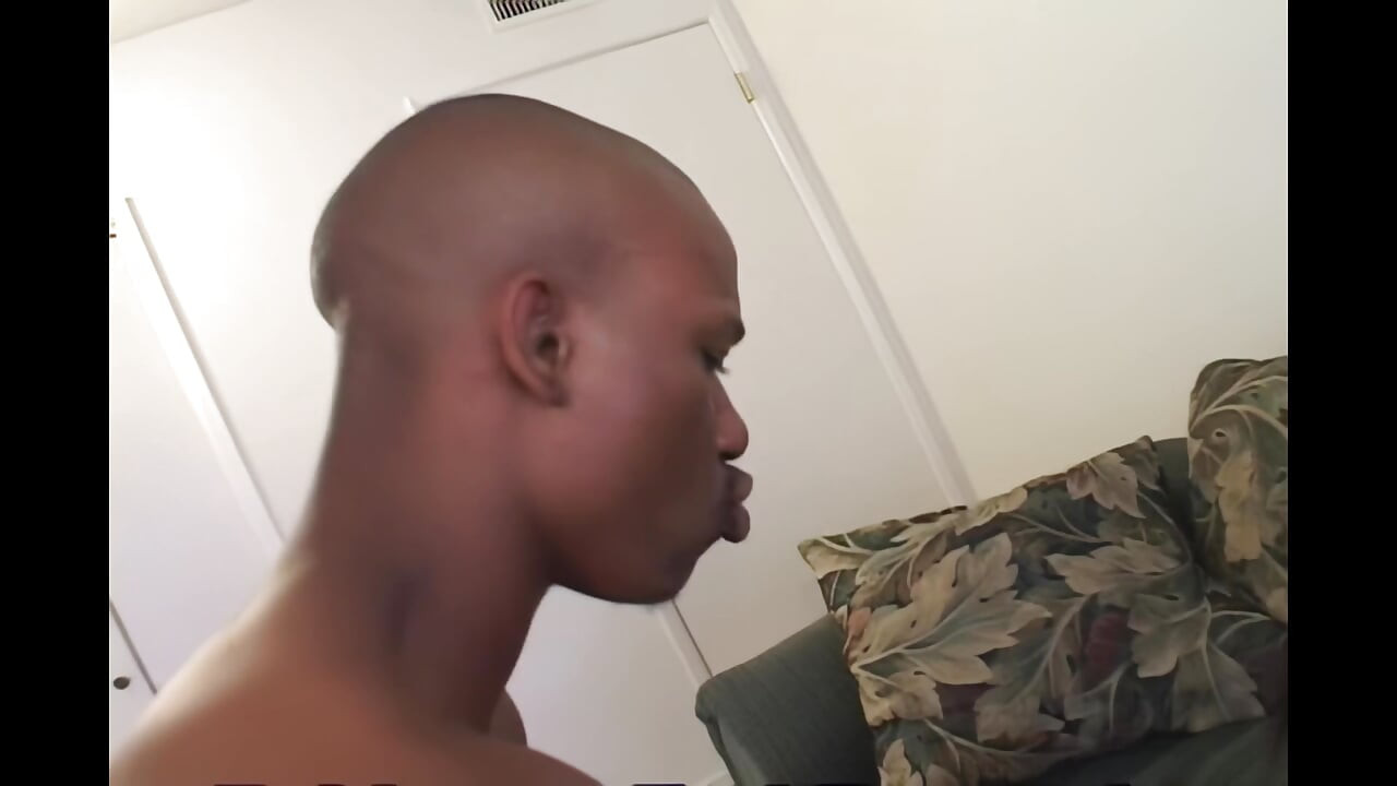 Vẻ đẹp thần thánh trong hành động hoang dã