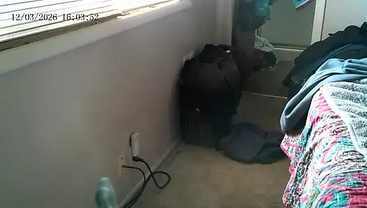 Das kätzchen dogging