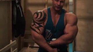 Synthol-Muskel