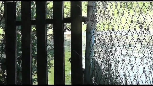 fuck in the park this is a mission for the whores masked
