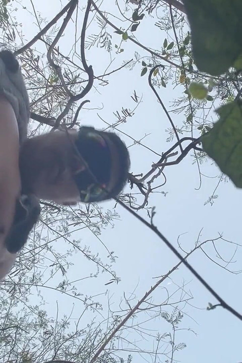 Chinese Bear