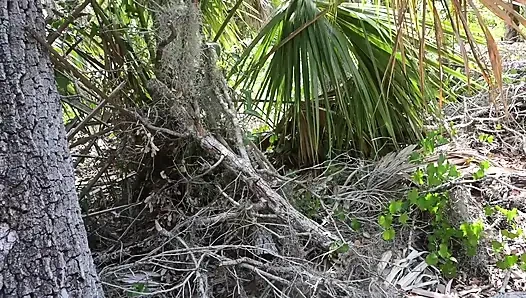 Bts doğa yürüyüşü ve parkurda mastürbasyon