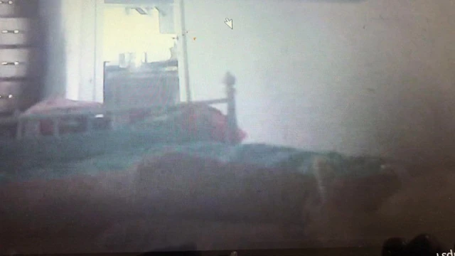 Humping pillow