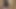 Indian softcore cock fucking her pussy