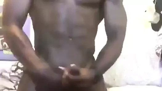 Uygun damızlık okşayarak onun siyah horoz