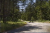 Pratinjau video