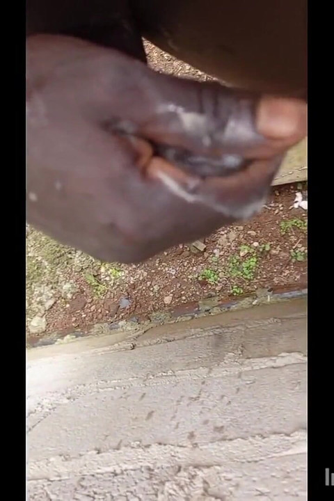 Huge Black Creamy Monster BBC Getting Worked