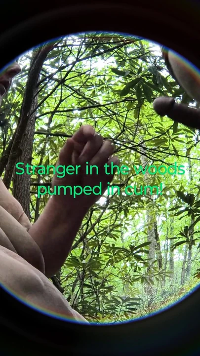 Bended This Stranger Over in the Woods Tree Covered